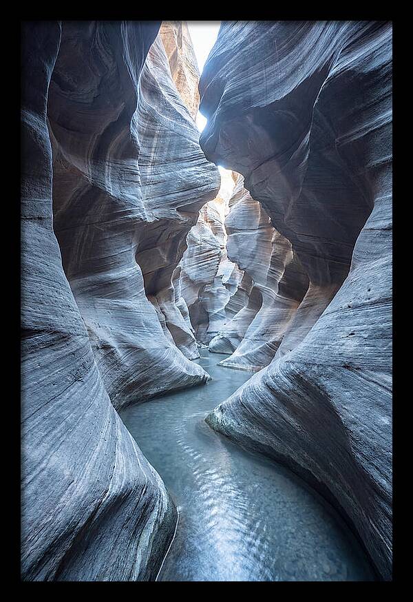 Canyon Narrows Reflecting Light