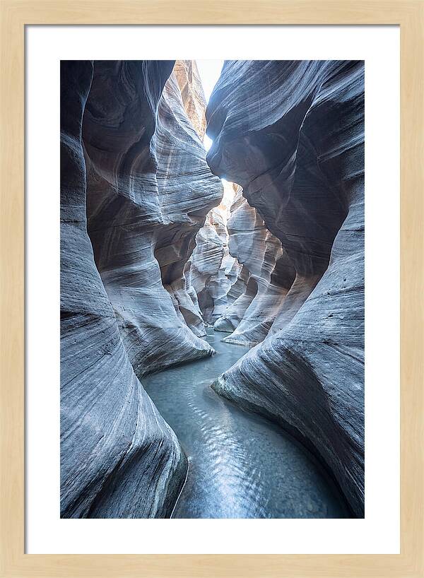 Canyon Narrows Reflecting Light