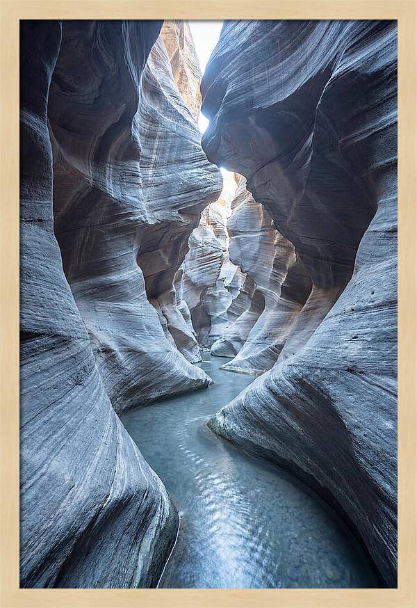 Canyon Narrows Reflecting Light