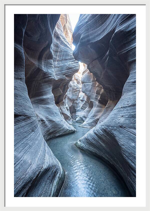 Canyon Narrows Reflecting Light