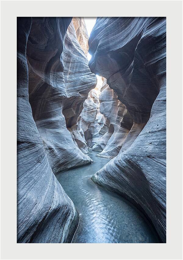 Canyon Narrows Reflecting Light