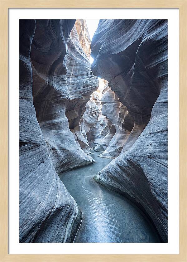 Canyon Narrows Reflecting Light