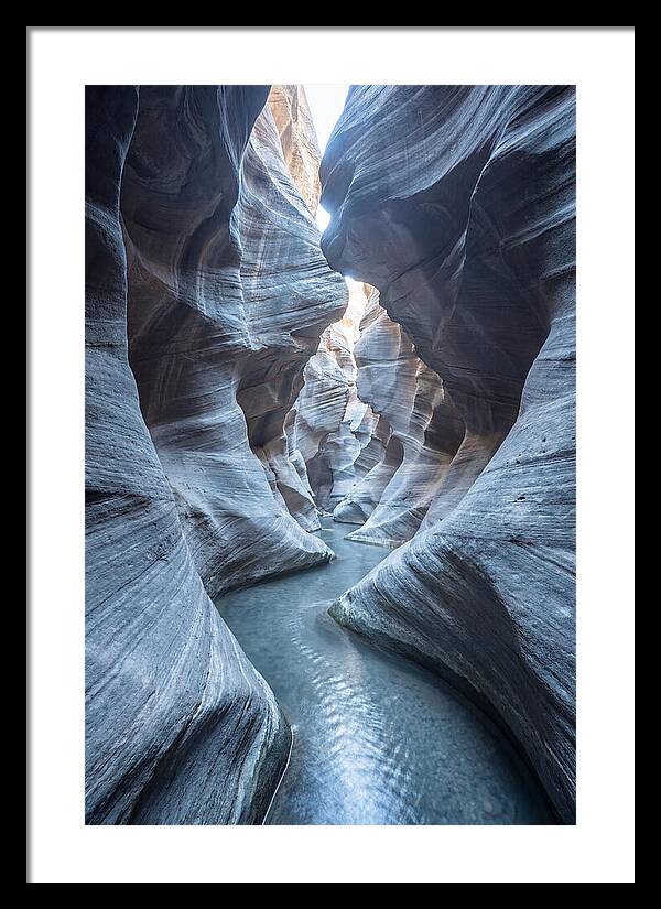 Canyon Narrows Reflecting Light