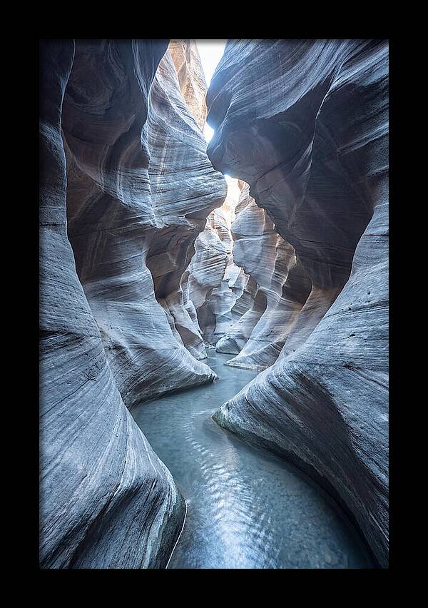 Canyon Narrows Reflecting Light