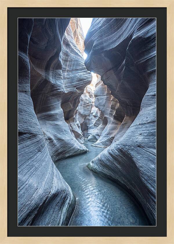 Canyon Narrows Reflecting Light