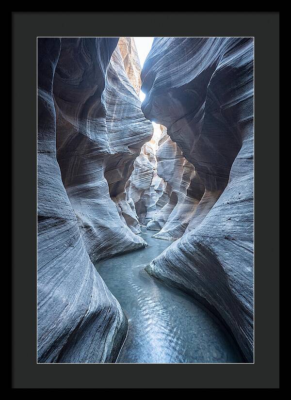 Canyon Narrows Reflecting Light