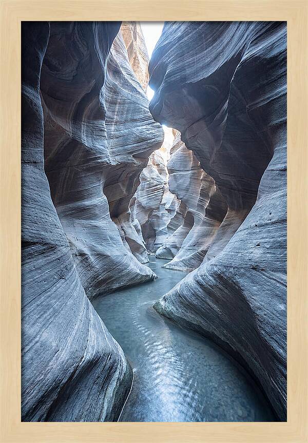 Canyon Narrows Reflecting Light