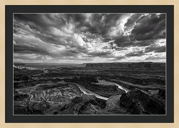 Canyon Vista In Black And White
