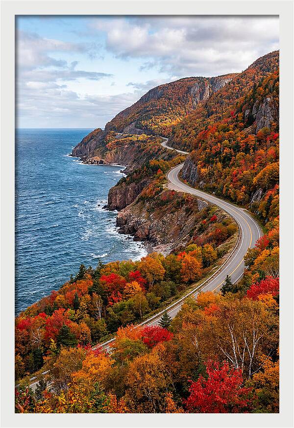 Cape Breton Highlands Serenity