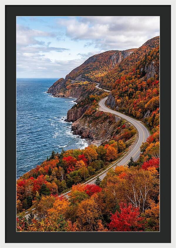Cape Breton Highlands Serenity
