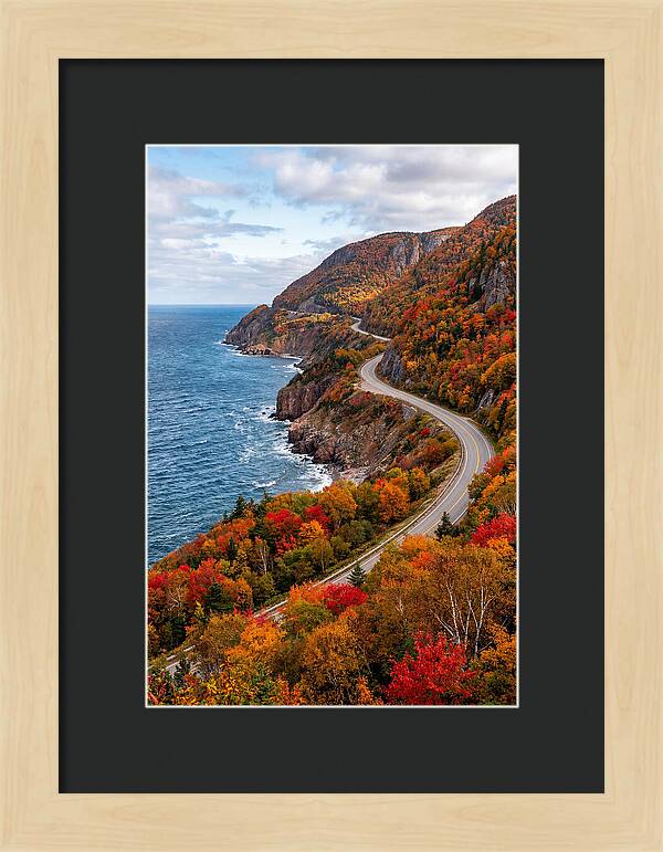 Cape Breton Highlands Serenity