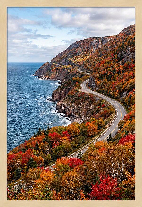 Cape Breton Highlands Serenity