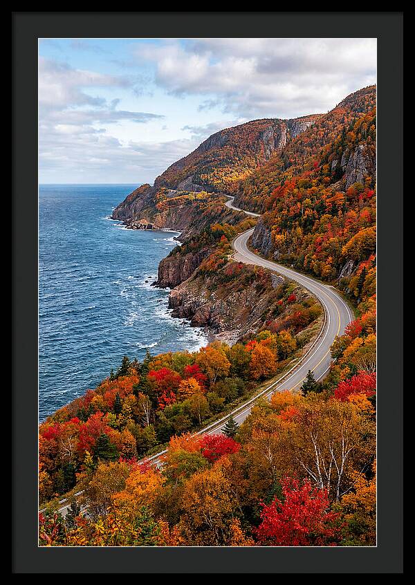 Cape Breton Highlands Serenity