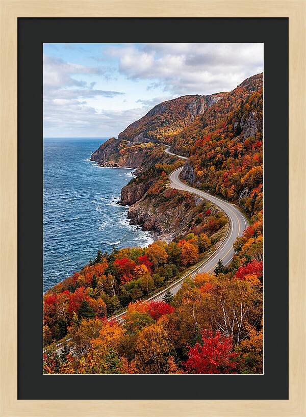 Cape Breton Highlands Serenity