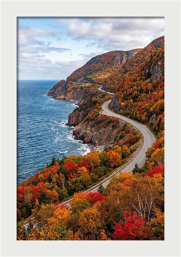 Cape Breton Highlands Serenity