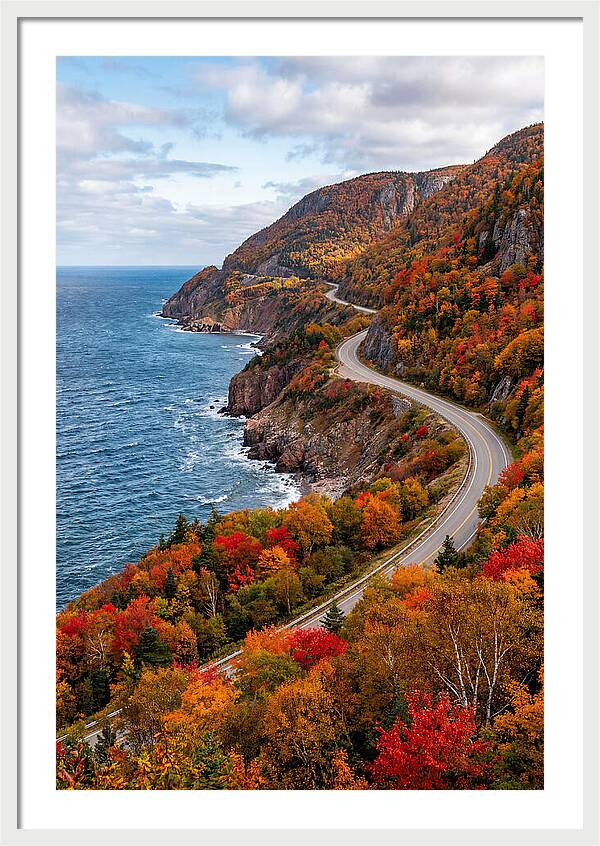 Cape Breton Highlands Serenity