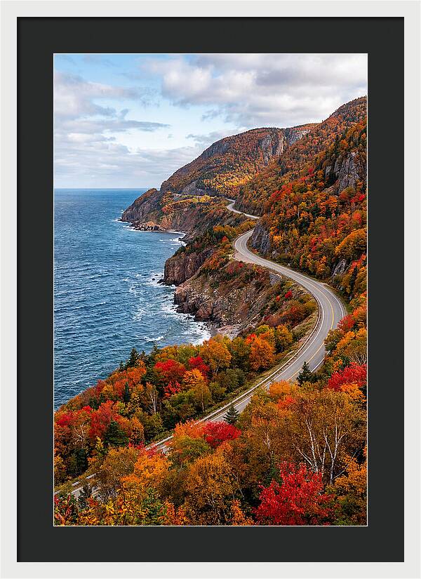 Cape Breton Highlands Serenity