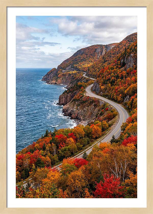 Cape Breton Highlands Serenity