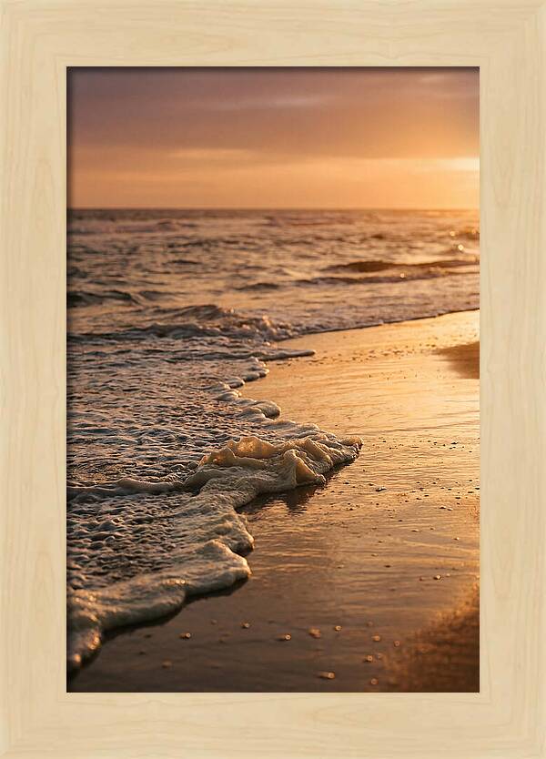 Cape Cod Beach Sunset Warmth