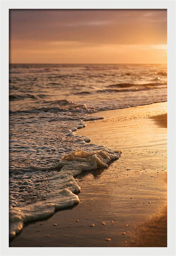 Cape Cod Beach Sunset Warmth