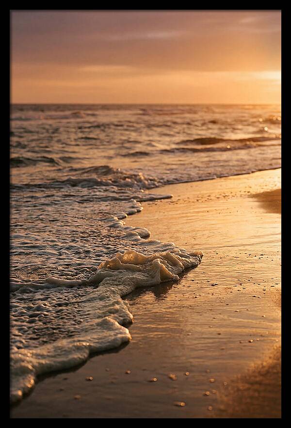 Cape Cod Beach Sunset Warmth