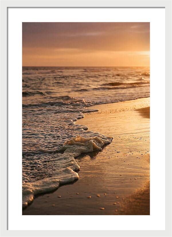 Cape Cod Beach Sunset Warmth