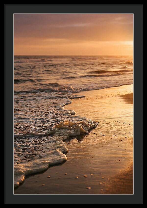 Cape Cod Beach Sunset Warmth
