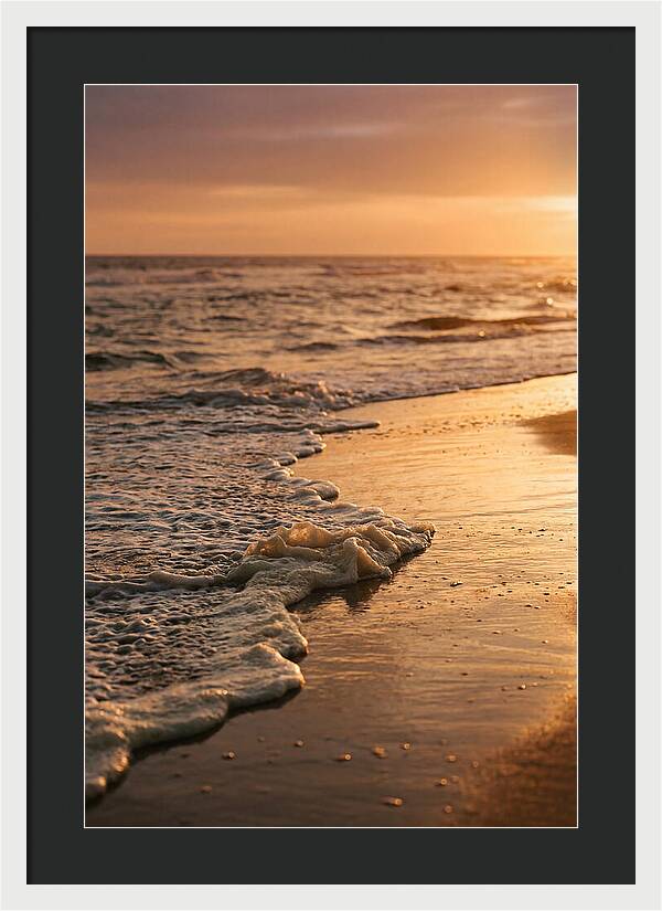 Cape Cod Beach Sunset Warmth