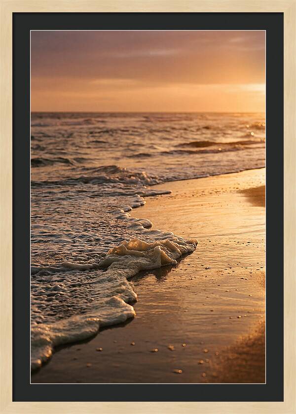 Cape Cod Beach Sunset Warmth