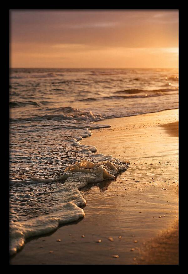 Cape Cod Beach Sunset Warmth