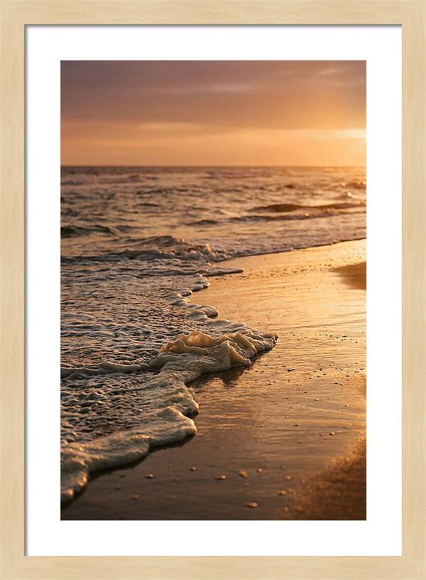 Cape Cod Beach Sunset Warmth
