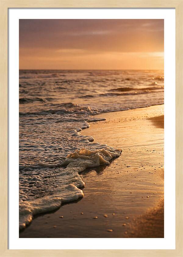 Cape Cod Beach Sunset Warmth