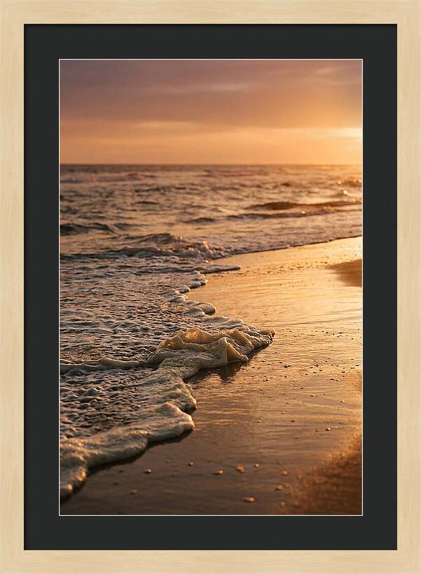 Cape Cod Beach Sunset Warmth