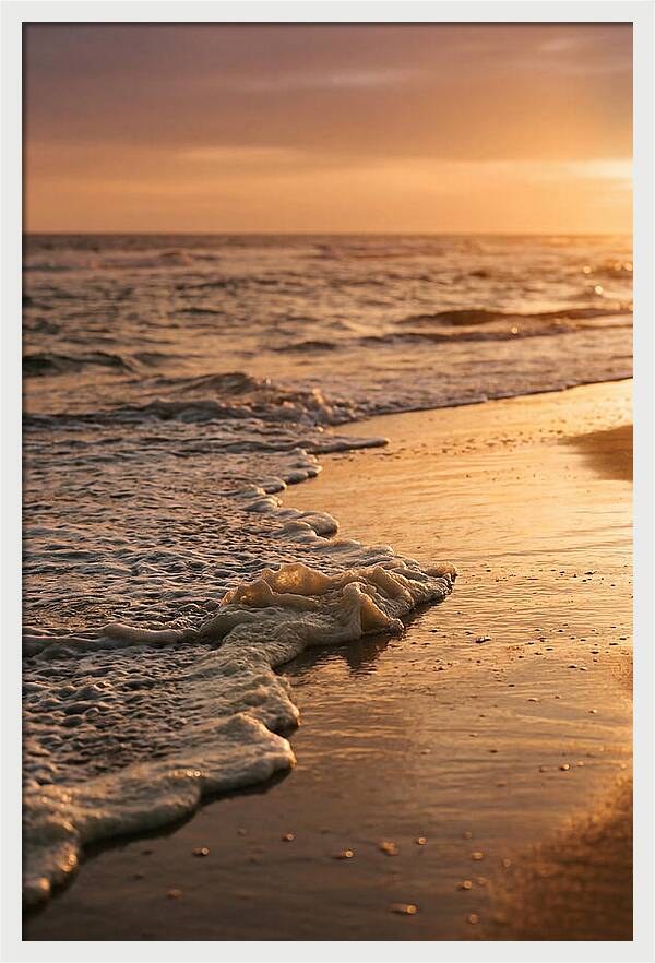 Cape Cod Beach Sunset Warmth