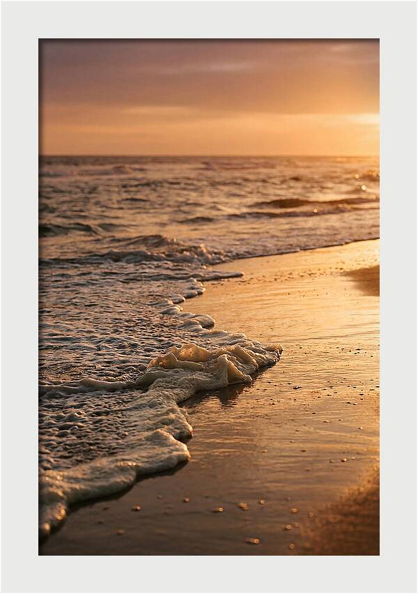 Cape Cod Beach Sunset Warmth