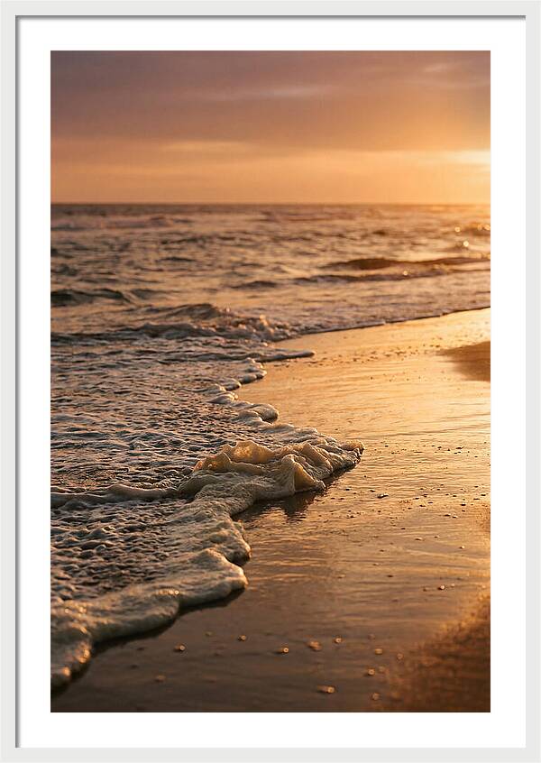 Cape Cod Beach Sunset Warmth