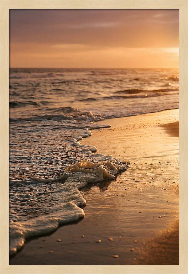 Cape Cod Beach Sunset Warmth