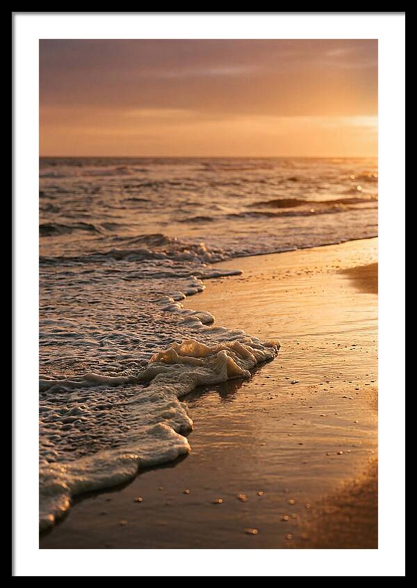 Cape Cod Beach Sunset Warmth