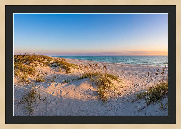 Cape Cod Coastal Serenity