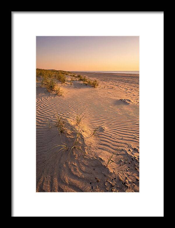 Cape Henlopen Dunes At Sunset