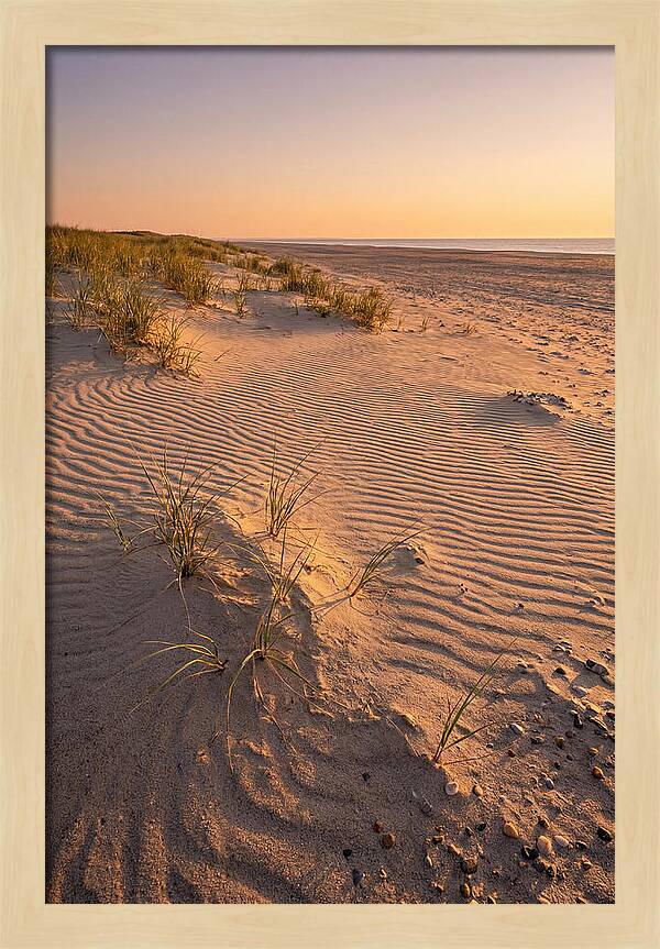 Cape Henlopen Dunes At Sunset