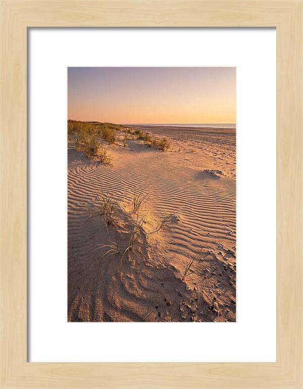 Cape Henlopen Dunes At Sunset
