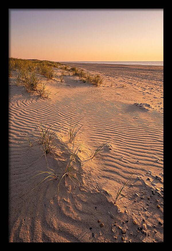 Cape Henlopen Dunes At Sunset