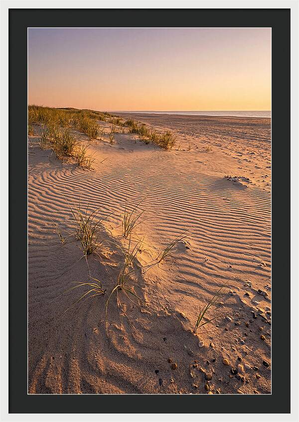 Cape Henlopen Dunes At Sunset
