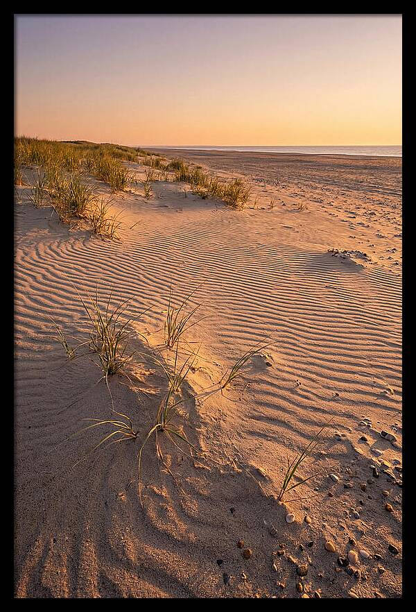Cape Henlopen Dunes At Sunset
