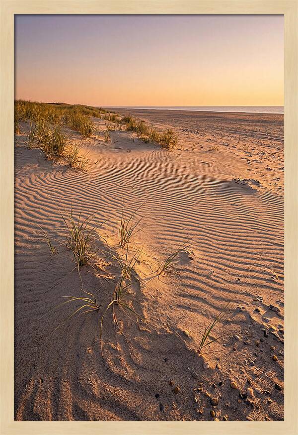 Cape Henlopen Dunes At Sunset