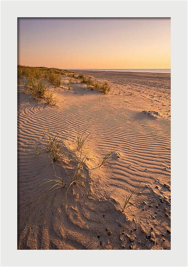 Cape Henlopen Dunes At Sunset