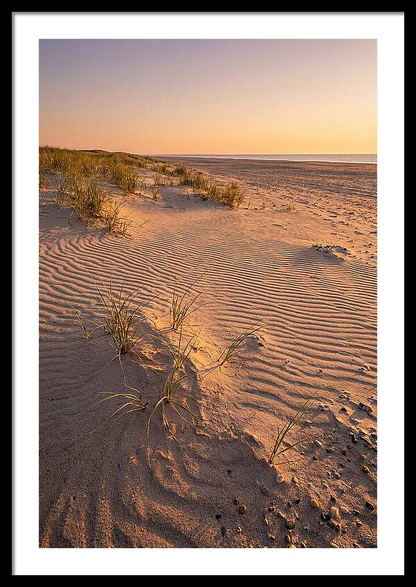 Cape Henlopen Dunes At Sunset