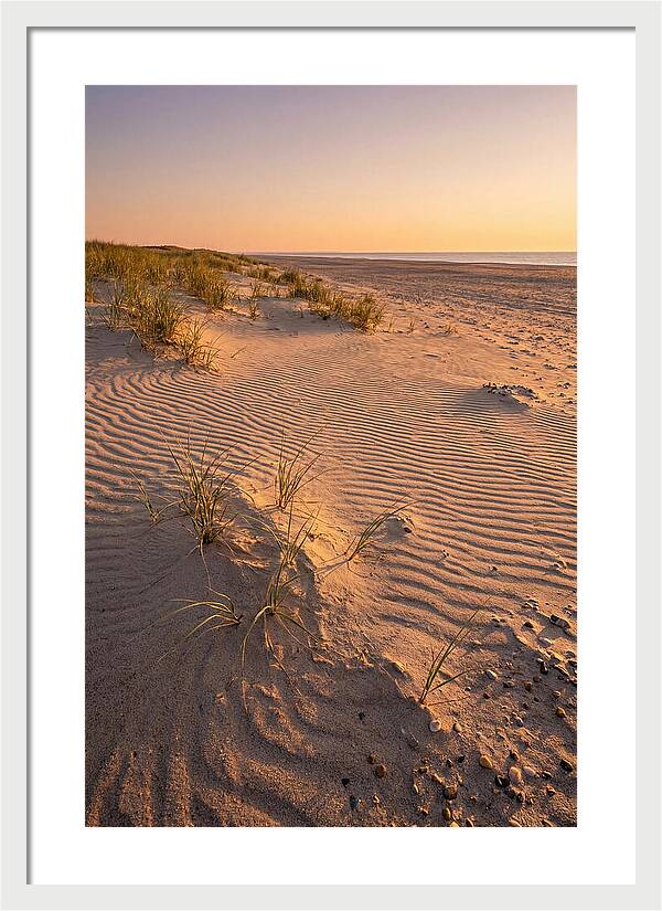 Cape Henlopen Dunes At Sunset