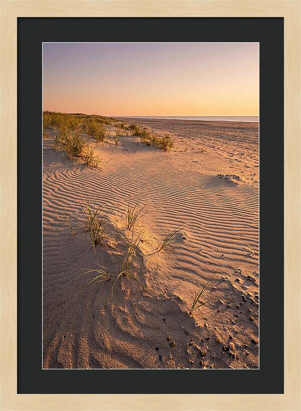 Cape Henlopen Dunes At Sunset